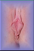 Porn Pic