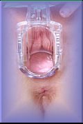 Porn Pic