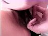 010.jpg