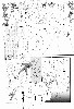  703x1024 97,963 Bytes