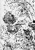  722x1024 96,448 Bytes