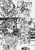  722x1024 98,716 Bytes