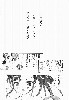  716x1024 97,792 Bytes