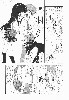  716x1024 99,263 Bytes
