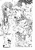  716x1024 97,914 Bytes