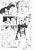  716x1024 98,733 Bytes