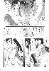  716x1024 99,255 Bytes