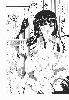  716x1024 98,885 Bytes