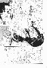  716x1024 99,075 Bytes
