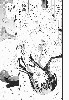  716x1024 99,131 Bytes