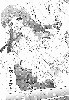  716x1024 98,044 Bytes